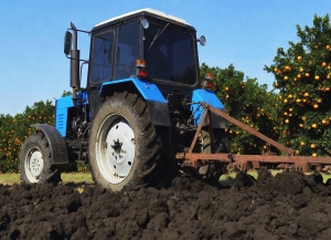 Более 1 700 гектаров пашни и стабильные цены: Тенгиз Какубава о старте весенних работ в Очамчырском районе