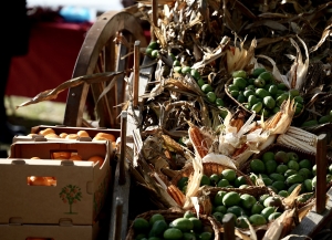 Гастрофестиваль «Вкус осени – фейхоа» проходит в Сухуме