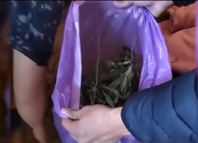 У жителя села Гумиста изъяли 1 кг 230,86 граммов наркотического средства