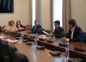 Парламентский комитет рекомендует дополнить перечень товаров, ввозимых в Абхазию без таможенной пошлины
