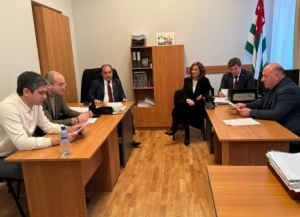 Комитет по международным, межпарламентским связям и связям с соотечественниками обсудил обращение Президента Республики Абхазия      