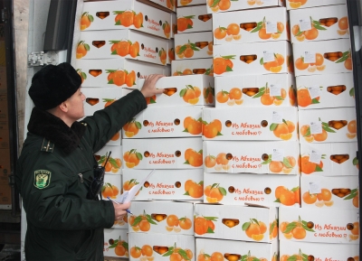 В Россию из Абхазии импортировали  20 тысяч тонн мандаринов
