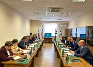 Представители ГТК Абхазии и ФТС России обсудили актуальные вопросы организации работы накануне курортного сезона