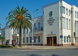 25,3 млрд рублей составили в 2025 году совокупные активы кредитных организаций Абхазии