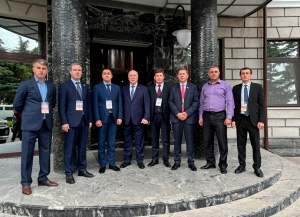Парламентская делегация Абхазии присутствует в качестве международных наблюдателей на выборах Парламента Южной Осетии