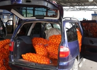 Сочинская таможня пресекает нарушения при ввозе сельхозпродукции из Абхазии