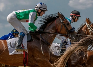 Лошади абхазских коневладельцев стали победителями и призерами скачек в Краснодаре