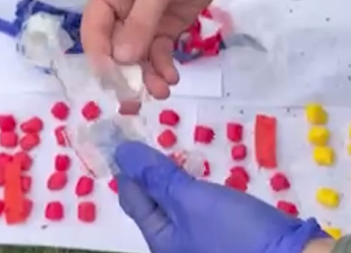 Сотрудники милиции изъяли 498 г наркотических средств