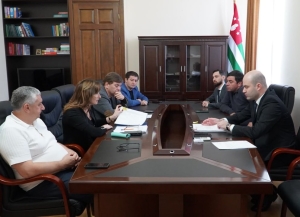 Вопросы гармонизации законодательства Абхазии и России обсудили Лаша Ашуба и Кристина Озган