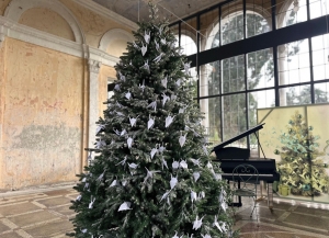 Аҟәа ақалақь аҿы ихацыркхеит ашықәсыҿцтәи акциа «Ашанаҵла».