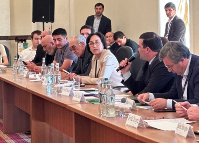 Динара Смыр: сотрудничество в сфере культуры между Абхазией и Россией становится шире