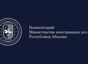В МИД Абхазии прокомментировали заявление западных стран в СБ ООН