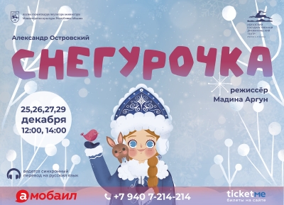 Театры Абхазии подготовили новогодние спектакли для детей   