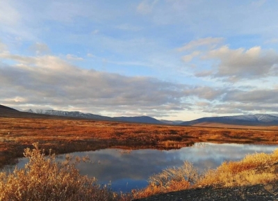 Фонд «АТР АЭС» назвал финалистов конкурсного отбора IX Международного проекта «Территория успеха: в объятиях природы»