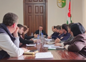 Владимир Делба заслушал отчет комиссии по проведению контроля за исполнением решений по предоставлению земельных участков