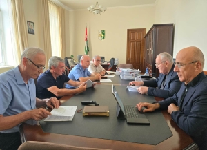 Вопрос реинтродукции зубров на территорию Абхазии обсудили в Кабмине