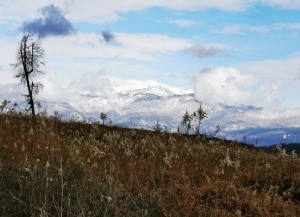 Специалисты«РосАгрохимслужбы» впервые провели агрохимическое и экологическое обследование земель в Абхазии
