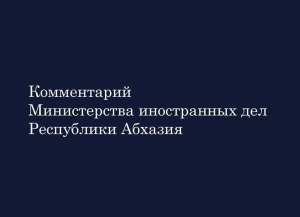 МИД Абхазии прокомментировал инициативу депутатов Турции о признании паспортов Республики Абхазия
