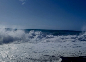 Ҩыџьа урыстәылатәи аԥсшьаҩцәа Гагра араион азааигәара амшын иагеит.