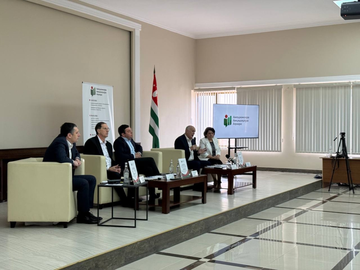 Вопросы реформы  политической системы республики обсудили в Общественной  палате Абхазии